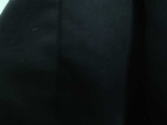 SalaChan's BongaCams show and profile