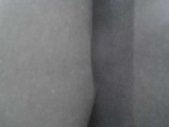 SalaChan's BongaCams show and profile