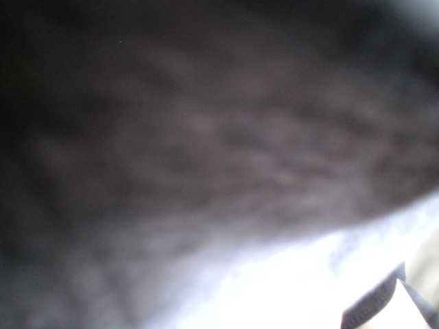 SalaChan's BongaCams show and profile