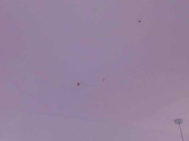 KayraLanne's BongaCams show and profile