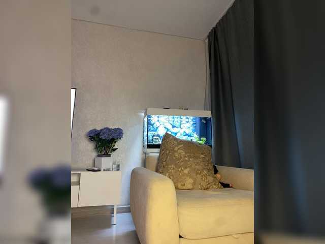 FoxAlice2026 live cam