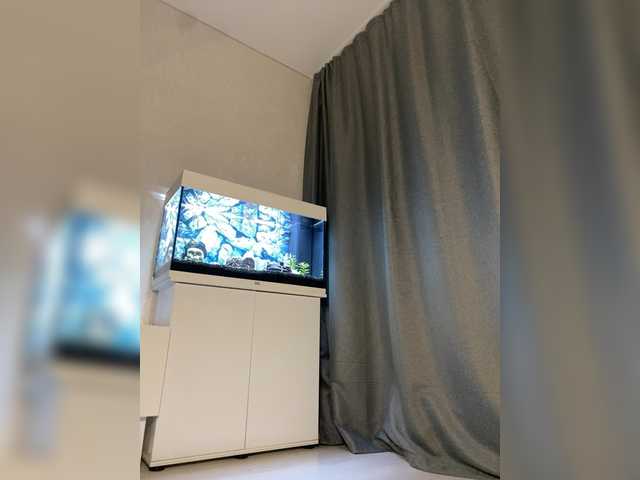 FoxAlice2026's BongaCams show and profile