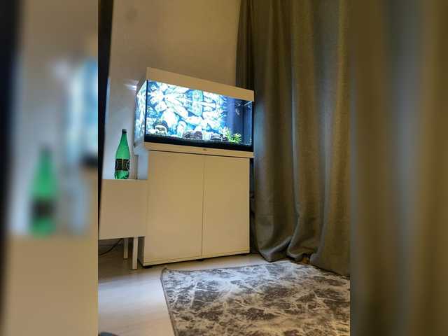 FoxAlice2026's BongaCams show and profile