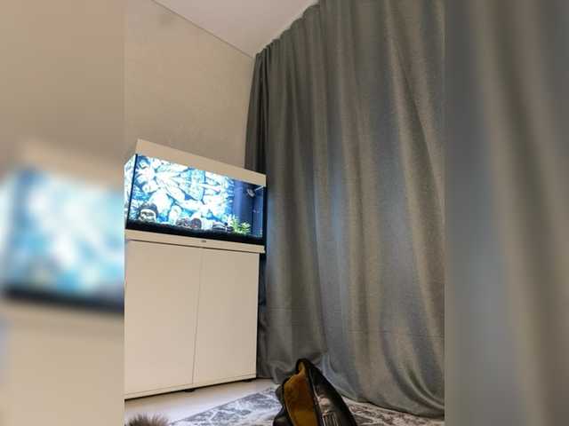 FoxAlice2026's BongaCams show and profile