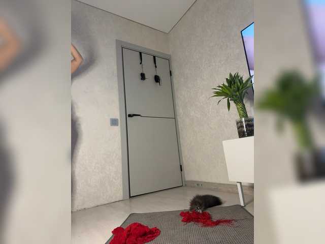 FoxAlice2026's BongaCams show and profile