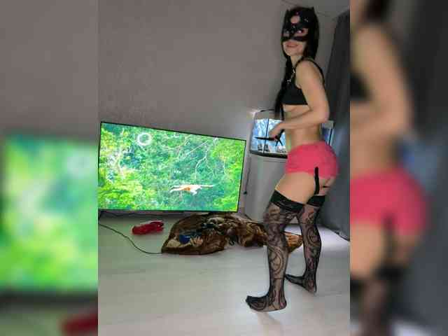 FoxAlice2026 FoxAlice2026