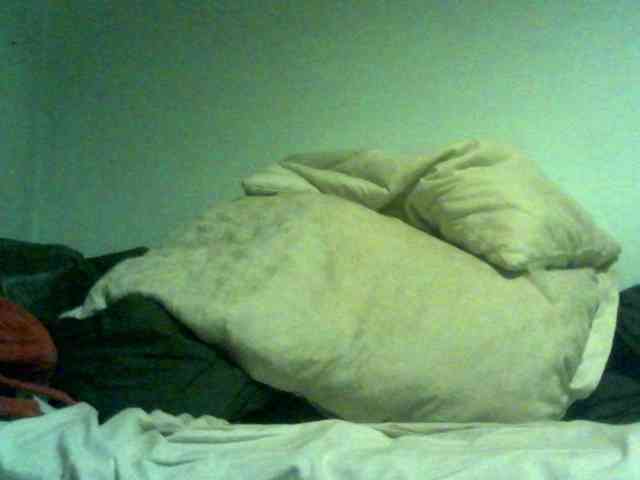 MicroPenis-1 Live Webcam on BongaCams
