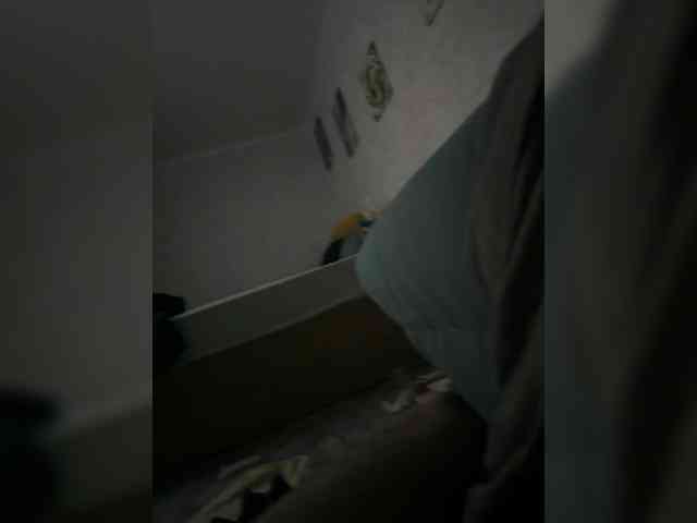 sweetish01 Live Webcam on BongaCams