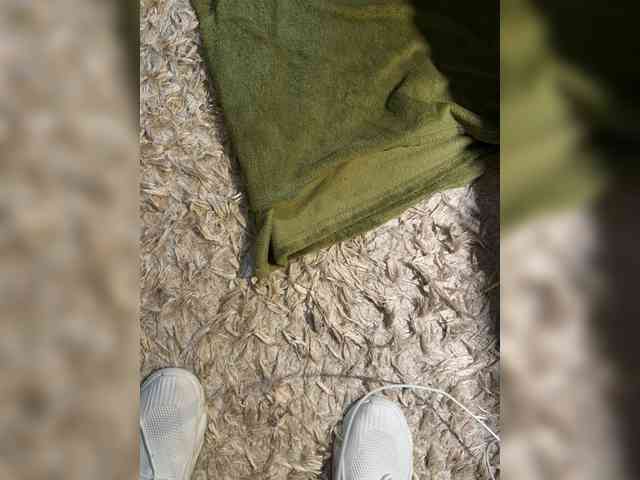 Maximo92720 Maximo92720