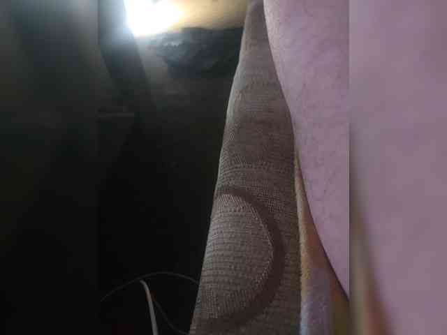 Velikimacan1 Velikimacan1