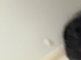 NotBellucci Porn Show