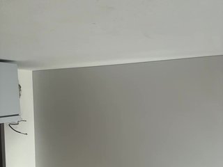 NotBellucci Porn Show