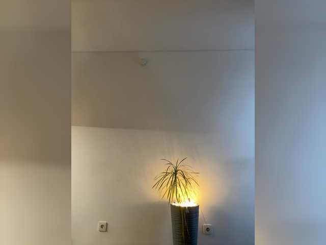 NotBellucci – webcam model profile photo