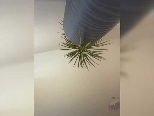 NotBellucci's Thumb Image