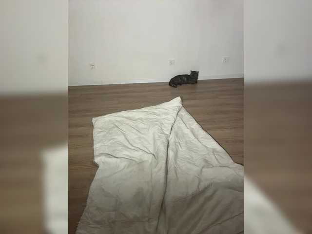 NotBellucci's BongaCams show and profile