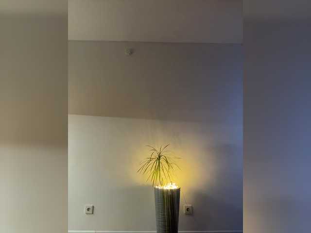 NotBellucci's BongaCams show and profile