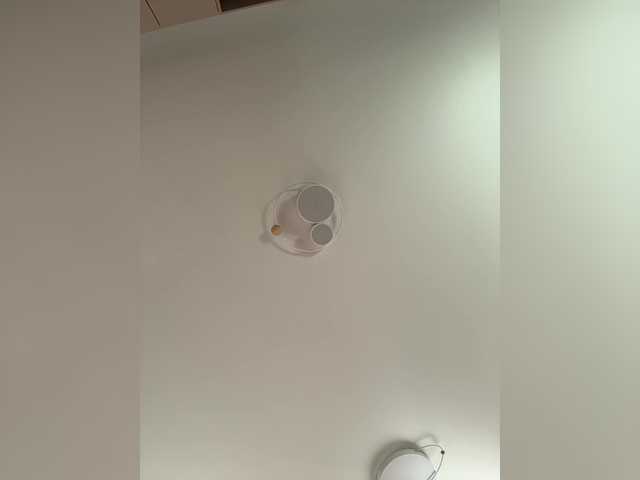  NotBellucci chat room