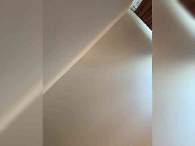 NotBellucci NotBellucci