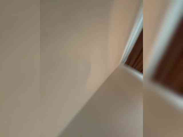 NotBellucci NotBellucci