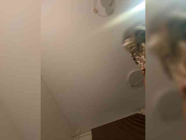 NotBellucci Live Webcam on BongaCams