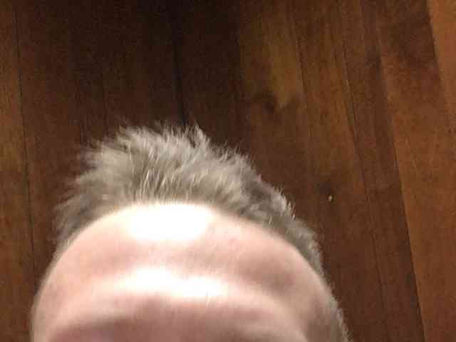 kennybombsly008a kennybombsly008a