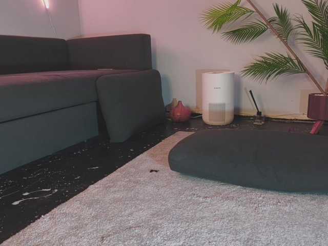 Monicami webcam stream