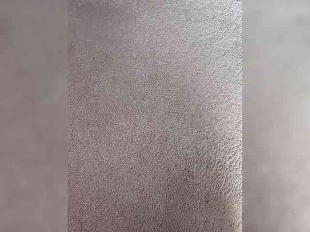 StevenRichy1 StevenRichy1