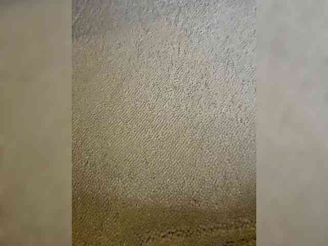 StevenRichy1 StevenRichy1