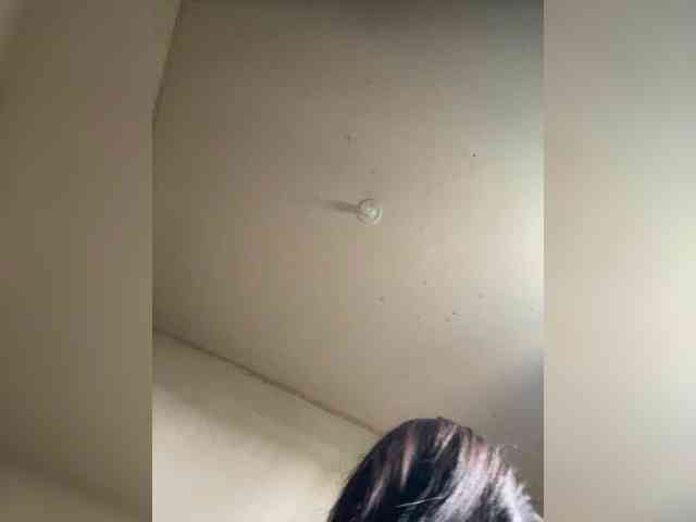 Moranguinho031i webcam