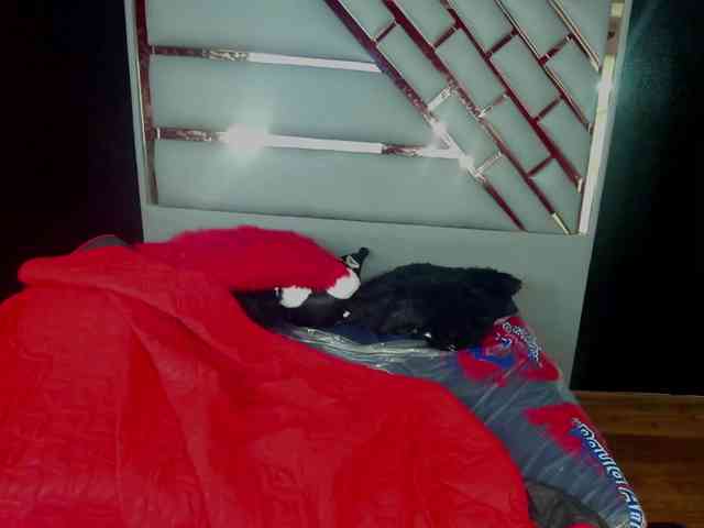 MiaMiller001 Live Webcam on BongaCams