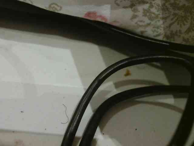 Sexyafricanah001 webcam