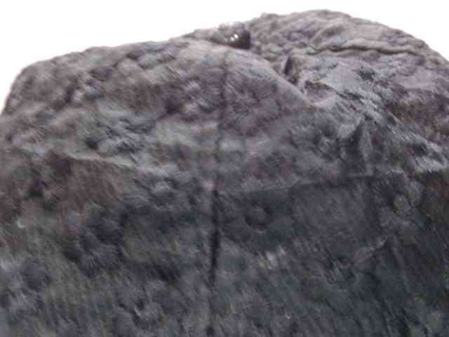 Sexyafricanah001 webcam