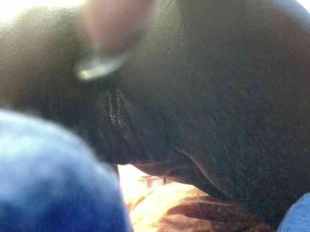 Sexyafricanah001 webcam