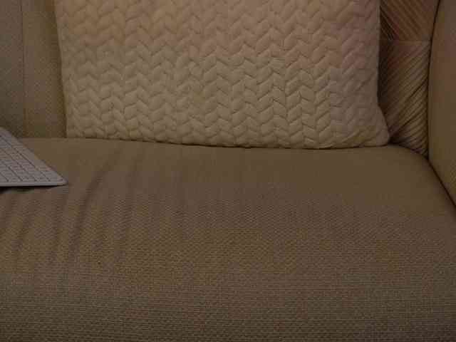 elianafoxx elianafoxx