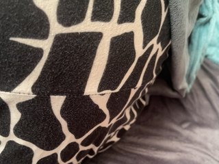 daryakotova001 Porn Show