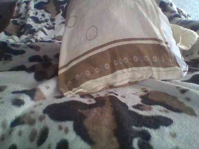 qwedsaxcz123321 Live Webcam on BongaCams