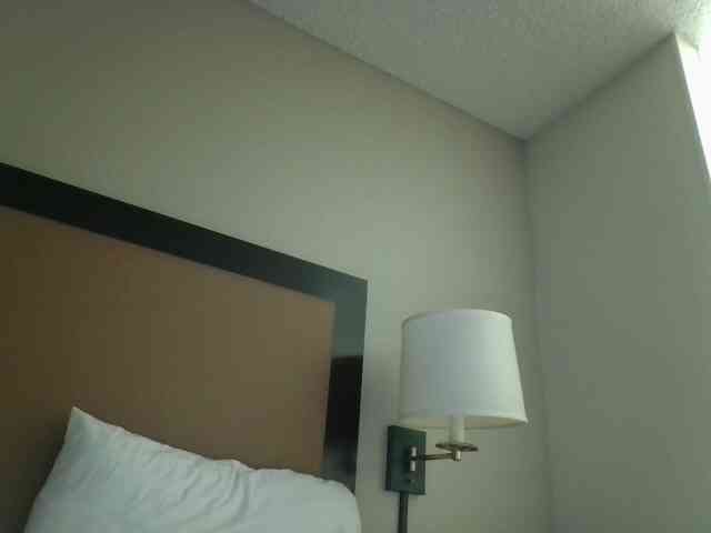 therayerevealed webcam