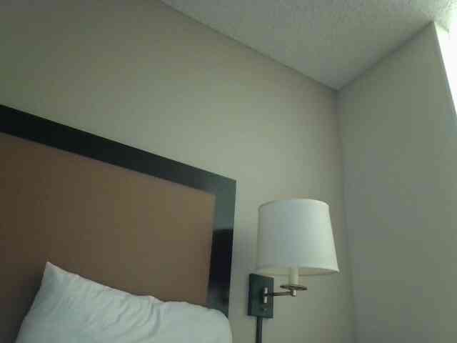 therayerevealed webcam