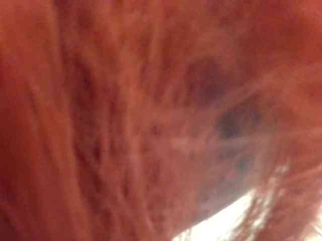 therayerevealed webcam