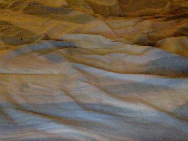 Starkaryst from BongaCams is Freechat