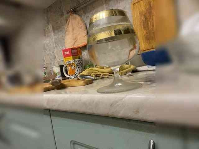 ArturKingRocket ArturKingRocket