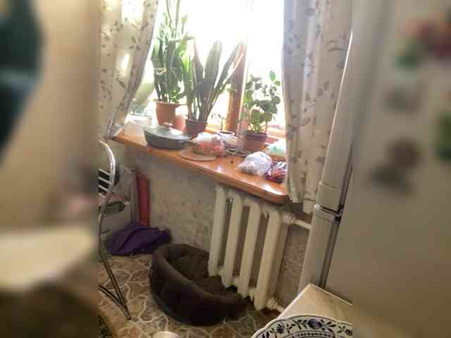 ArturKingRocket ArturKingRocket