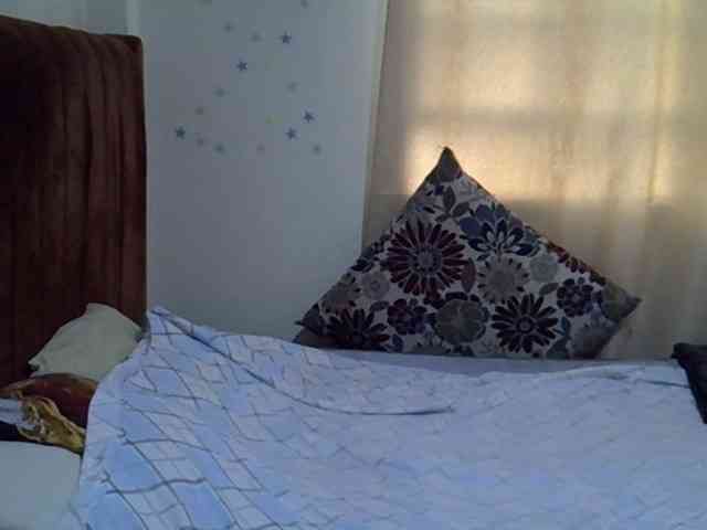 PetiteKitty PetiteKitty