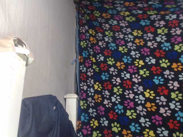 Elizabeth-a's BongaCams show and profile