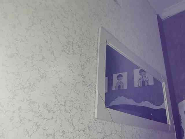 teylorlovee teylorlovee