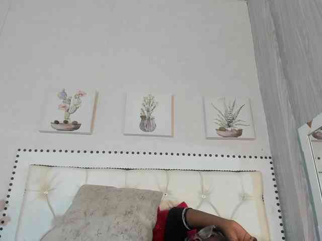 teylorlovee teylorlovee