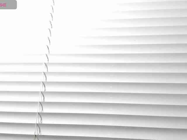 teylorlovee teylorlovee