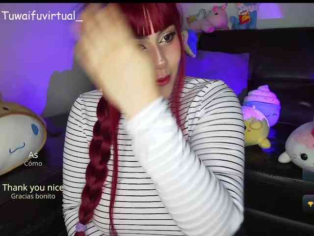 tuwa1fuvirtual webcam