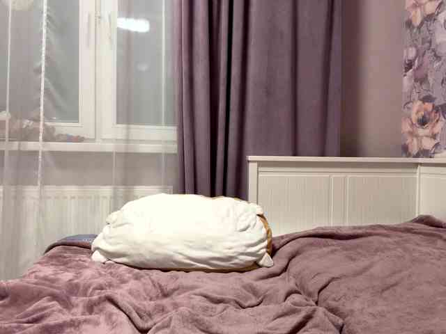 NyxoraMary NyxoraMary