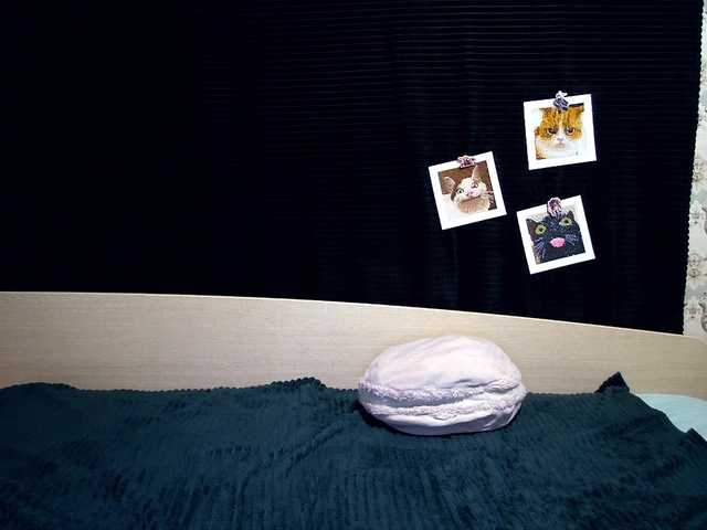 SmokySplitt's BongaCams show and profile